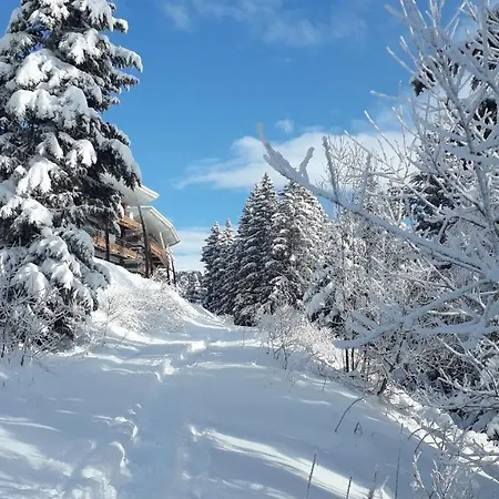 شقة Les Domaines De Larselle A Chamrousse 1700 - Droseras D12 - Classe 3 Etoiles *